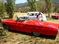 Select Image to Enlarge