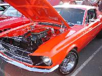 Select Image to Enlarge