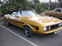 Select Image to Enlarge