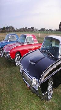 Select Image to Enlarge