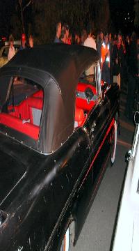 Select Image to Enlarge