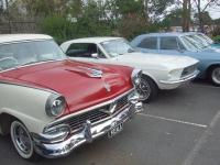 Select Image to Enlarge