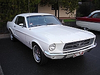 Select Image to Enlarge