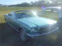 Select Image to Enlarge