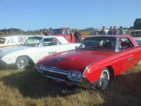 Select Image to Enlarge