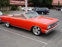 Select Image to Enlarge