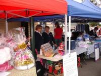 Select Image to Enlarge