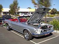 Select Image to Enlarge