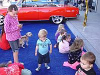 Select Image to Enlarge