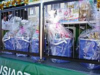 Select Image to Enlarge