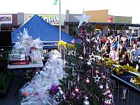 Select Image to Enlarge