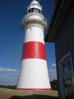 Select Image to Enlarge