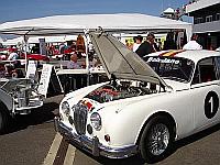 Select Image to Enlarge